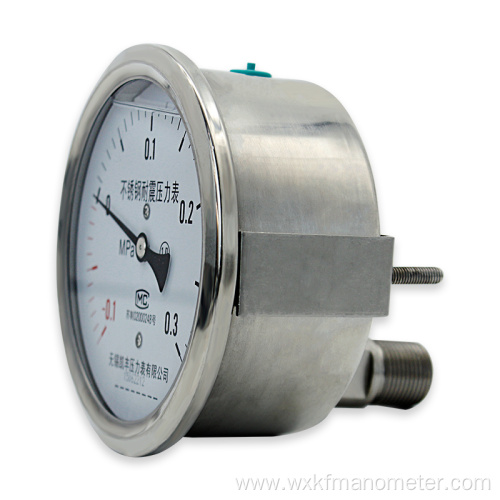 U Frame 300 bar pressure gauge